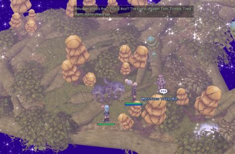 hazy forest ragnarok|Hazy Forest .